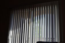 _ROY0906.jpg