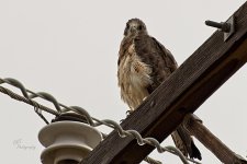 08-15-21-CR-_D501827-ON1.jpg