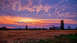 _7502248-HDR-Edit.jpg