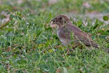 08-18-21-CR-_D501915-ON1.jpg