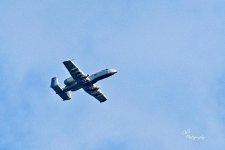 08-18-21-CR-_D501917-ON1.jpg
