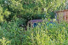 08-19-21-CR-_7505470-ON1.jpg
