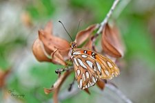 08-20-21-CR-_7505486-ON1.jpg