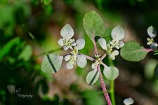 08-22-21-CR-_D501934-ON1.jpg
