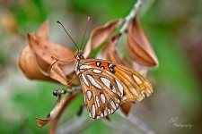 08-20-21-CR-_7505485-ON1.jpg