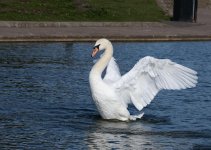 dsc_3587_36038856574_o.jpg
