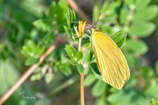 08-24-21-CR-_D501977-ON1.jpg