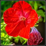 DSC_1108-Edit.jpg