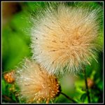 DSC_1094-Edit.jpg