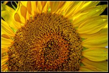 DSC_1049-Edit.jpg