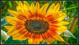 DSC_1044-Edit.jpg