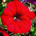 DSC_1043-Edit.jpg