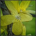 DSC_1042-Edit.jpg