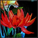 DSC_1024-Edit.jpg