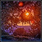 _7502538-Edit.jpg