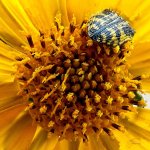 08-29-21-CR-_7505506_Focus-ON1.jpg