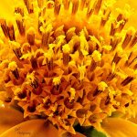 08-29-21-CR-_7505514_Focus-ON1.jpg