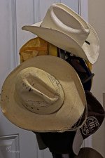 08-31-21-CR-_7505519-ON1.jpg