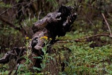 09-01-21-CR-_D502043-ON1.jpg
