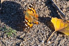 09-02-21-CR-_D502061-ON1.jpg