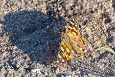 09-02-21-CR-_D502066-ON1.jpg