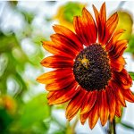 610_3545-HDR-Edit.jpg