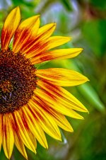 610_3518-HDR-Edit.jpg