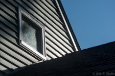 DSC_1005.jpg