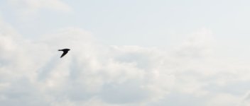 DSC_3891.JPG