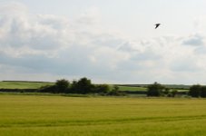DSC_3892.JPG