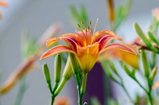 DSC_8561.jpg