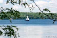 DSC_1126.jpg