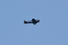 WarBird5.jpg