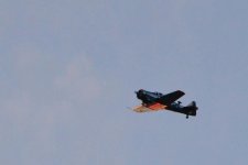 WarBird4.jpg