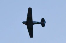 WarBird3.jpg