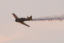 WarBird1.jpg