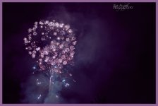 Firework 2.jpg