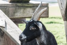 DSC_1144.jpg