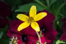 DSC_1146.jpg