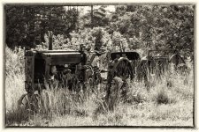 DSC_1136-Edit.jpg