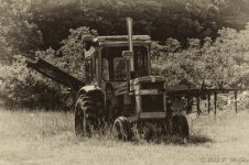 DSC_1137-Edit.jpg