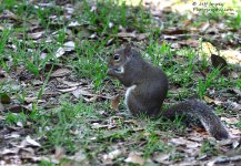 DSC_2133.jpg