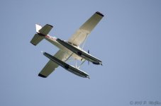 DSC_8581.jpg