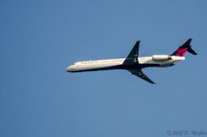 DSC_8587.jpg