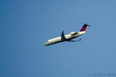 DSC_8589.jpg
