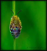 DSC__WLP_0001-7.jpg