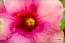 DSC__WLP_0001-8.jpg