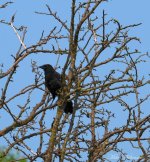 DSC_0634.JPG