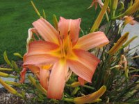 DSCN0080.jpg