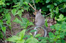 DSC_8591.jpg